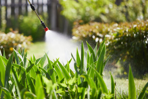 24/7 Emergency Mosquito Control experts in Kootenai, ID